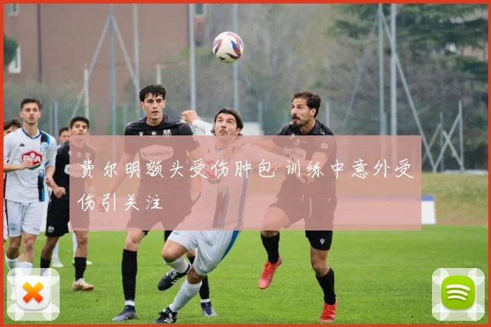 费尔明额头受伤肿包 训练中意外受伤引关注