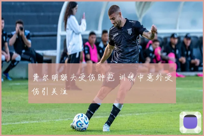 费尔明额头受伤肿包 训练中意外受伤引关注